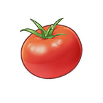 tomato ingredient genshin impact wiki guide 150 px