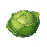cabbage ingredient genshin impact wiki guide 150 px