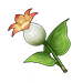 calla lily foraging materials genshin impact wiki guide 75 px
