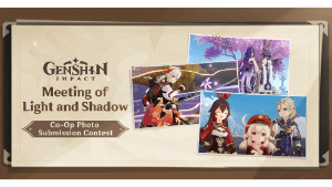 meeting of light and shadow co op photo submission contest event genshin impact wiki guide