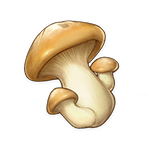 mushroom ingredient genshin impact wiki guide 150 px