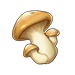 mushroom ingredient genshin impact wiki guide 75 px